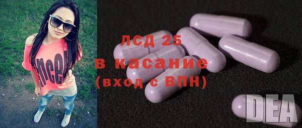 сатива Билибино