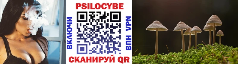 где можно купить наркотик Ермолино Псилоцибиновые грибы Magic Shrooms